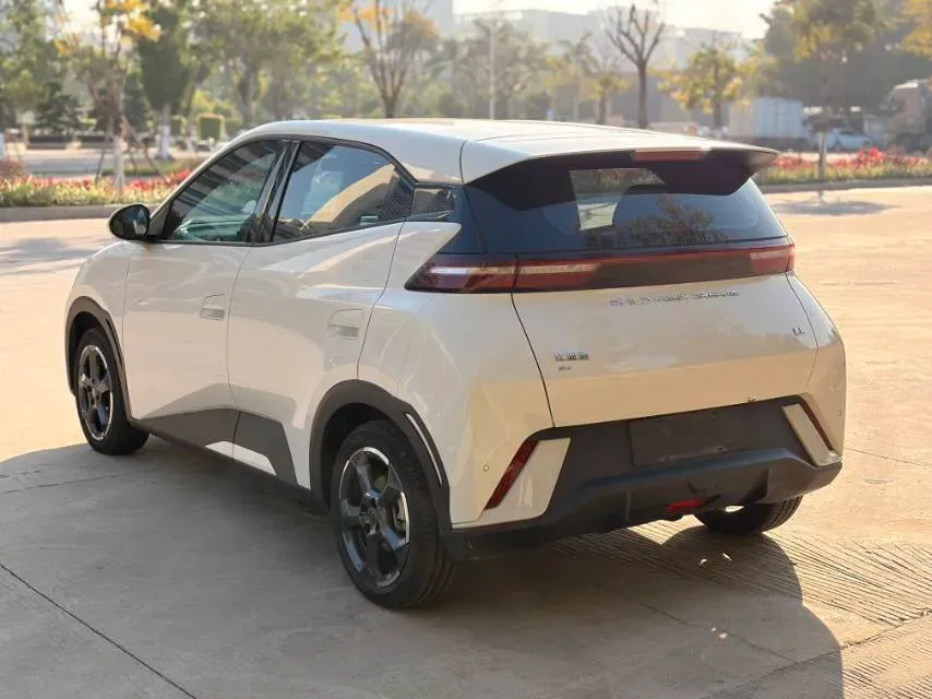 2023 BYD Seagull BEV 38.88KWH,autocango,china used car exporter,china ev exporter,chinese used car exporter,chinese used ev exporter