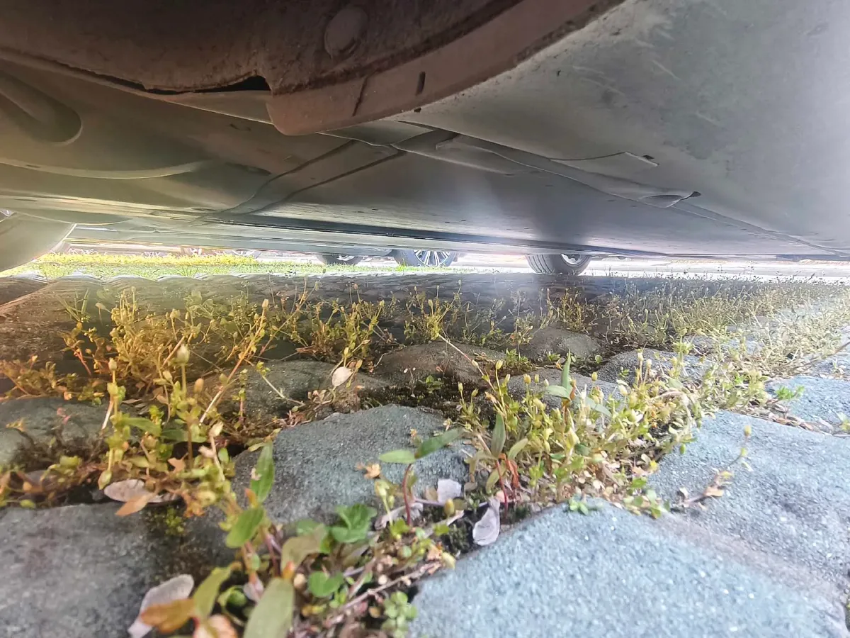 2025 Tesla Model 3 BEV 62.5KWH,autocango,china used car exporter,china ev exporter,chinese used car exporter,chinese used ev exporter