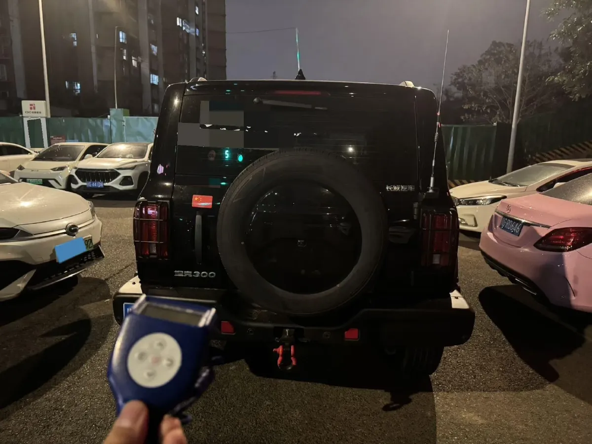 2024 Tank 300 2.0T 227HP L4 8AT,autocango,china used car exporter,china ev exporter,chinese used car exporter,chinese used ev exporter