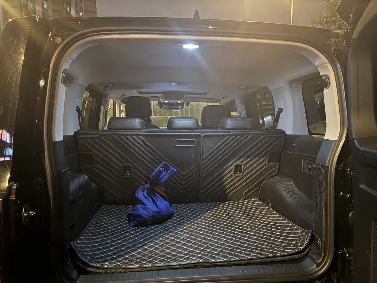 2024 Tank 300 2.0T 227HP L4 8AT,autocango,china used car exporter,china ev exporter,chinese used car exporter,chinese used ev exporter