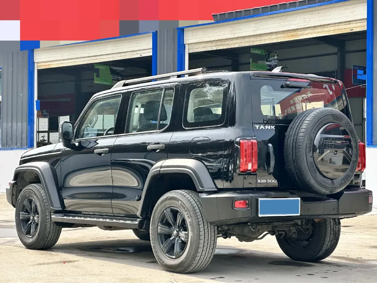 2021 Tank 300 2.0T 227HP L4 8AT,autocango,china used car exporter,china ev exporter,chinese used car exporter,chinese used ev exporter