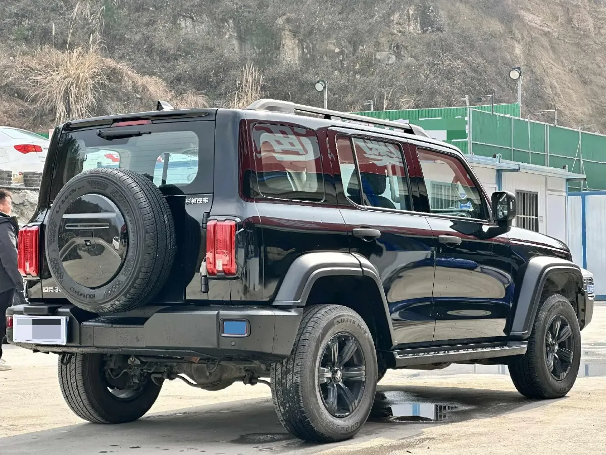 2021 Tank 300 2.0T 227HP L4 8AT,autocango,china used car exporter,china ev exporter,chinese used car exporter,chinese used ev exporter