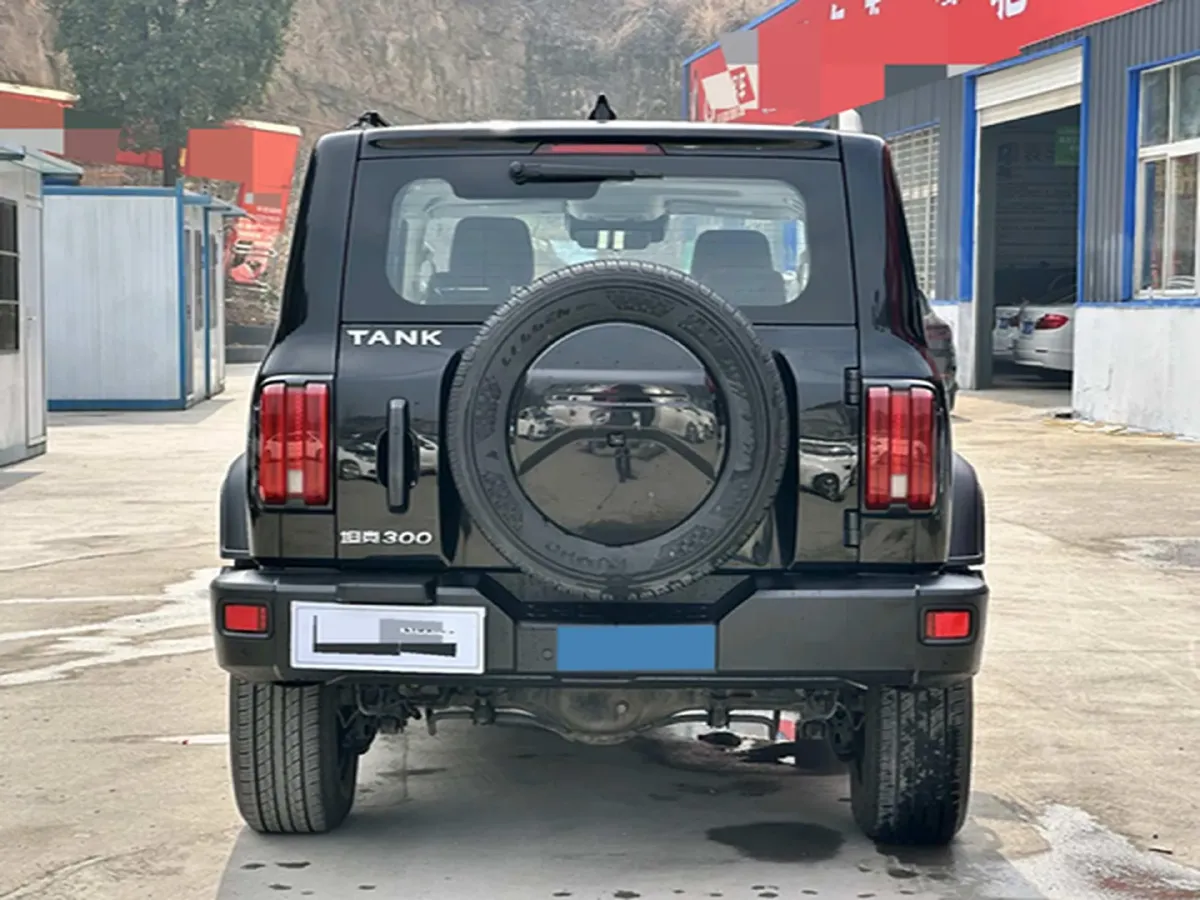 2021 Tank 300 2.0T 227HP L4 8AT,autocango,china used car exporter,china ev exporter,chinese used car exporter,chinese used ev exporter