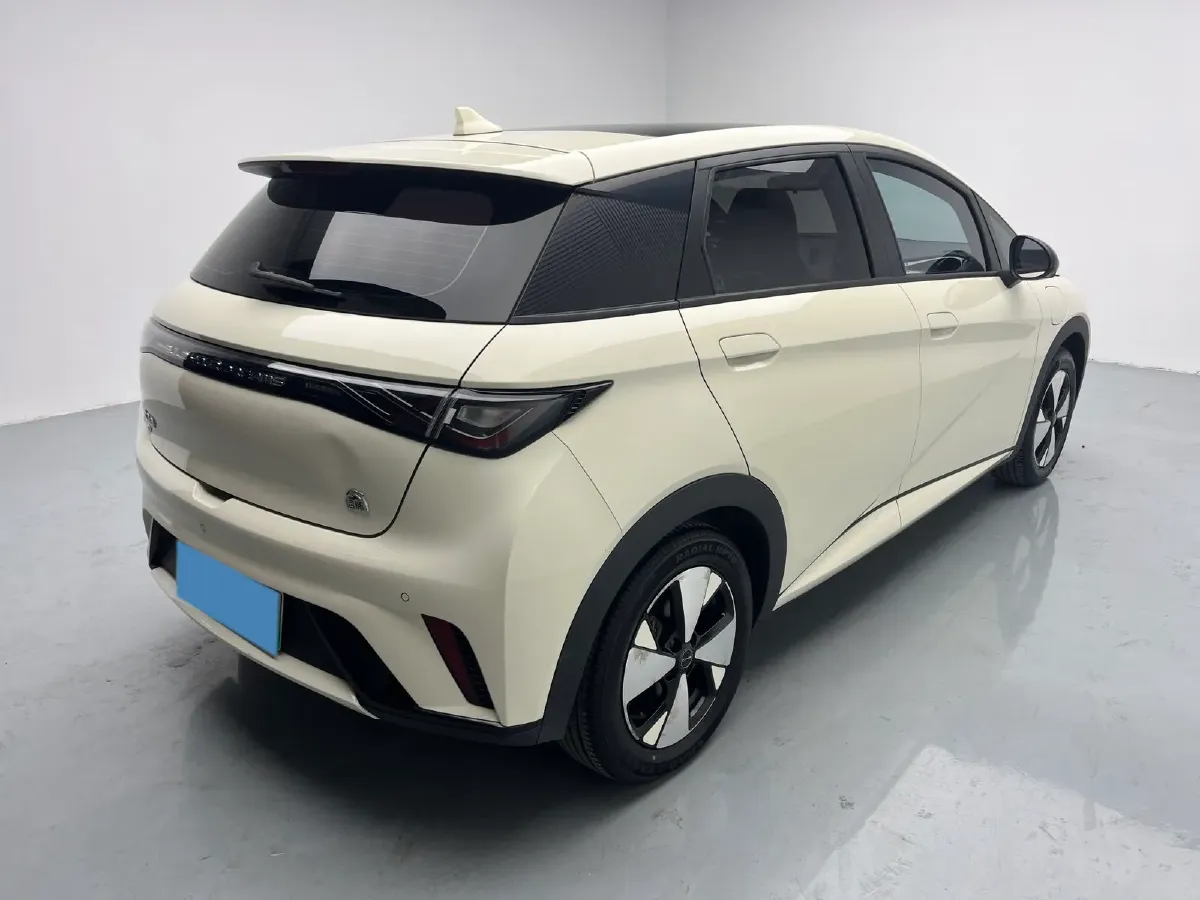 2023 BYD Dolphin BEV 44.928KWH,autocango,china used car exporter,china ev exporter,chinese used car exporter,chinese used ev exporter