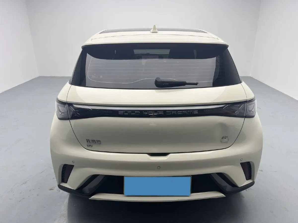 2023 BYD Dolphin BEV 44.928KWH,autocango,china used car exporter,china ev exporter,chinese used car exporter,chinese used ev exporter