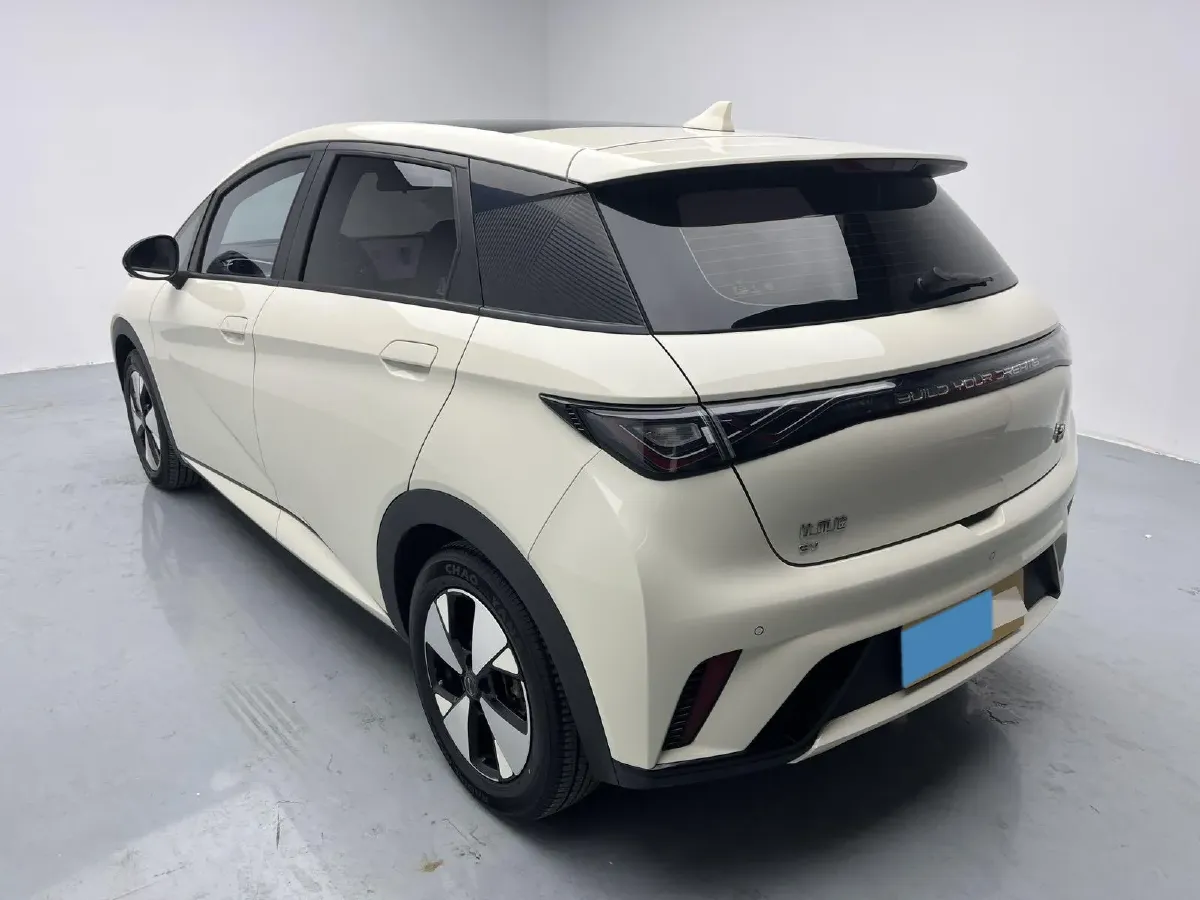 2023 BYD Dolphin BEV 44.928KWH,autocango,china used car exporter,china ev exporter,chinese used car exporter,chinese used ev exporter