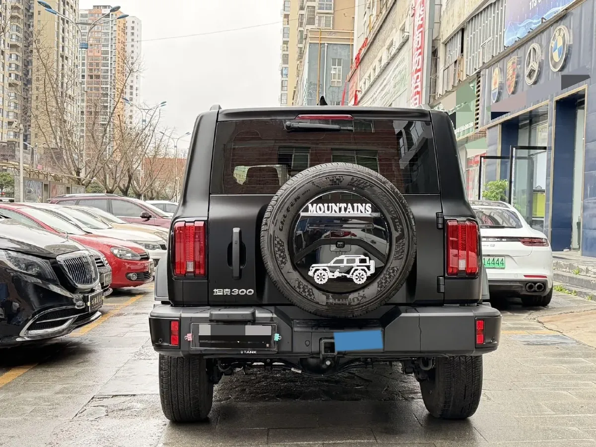 2024 Tank 300 2.0T 227HP L4 8AT,autocango,china used car exporter,china ev exporter,chinese used car exporter,chinese used ev exporter