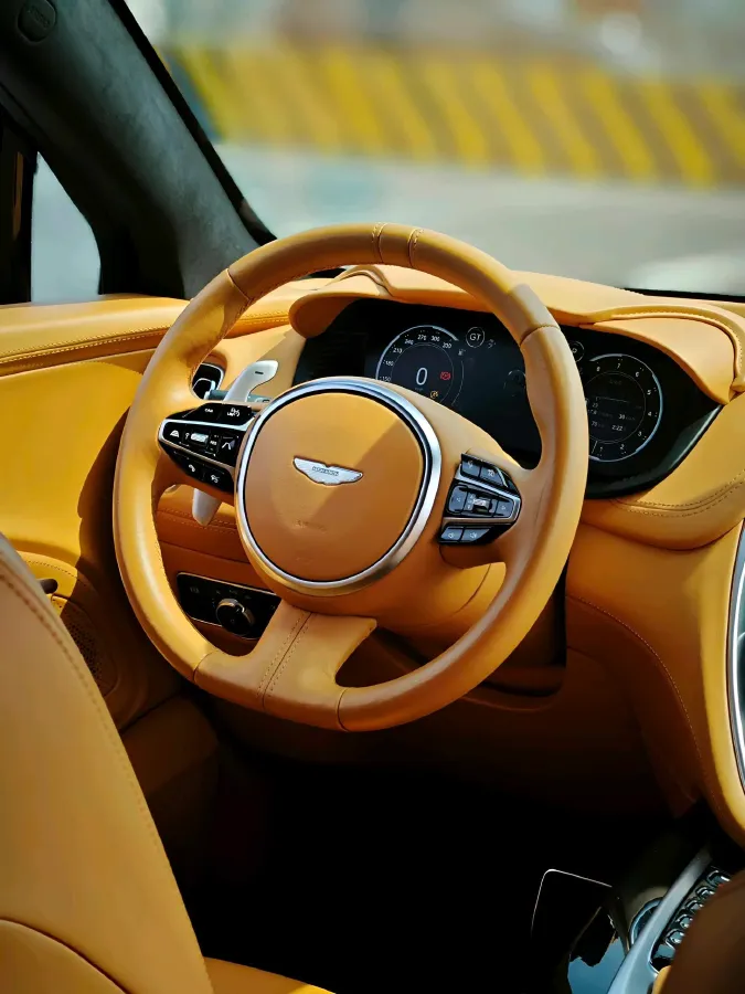 2020 Aston Martin DBX 4.0T 550HP V8 9AT,autocango,china used car exporter,china ev exporter,chinese used car exporter,chinese used ev exporter