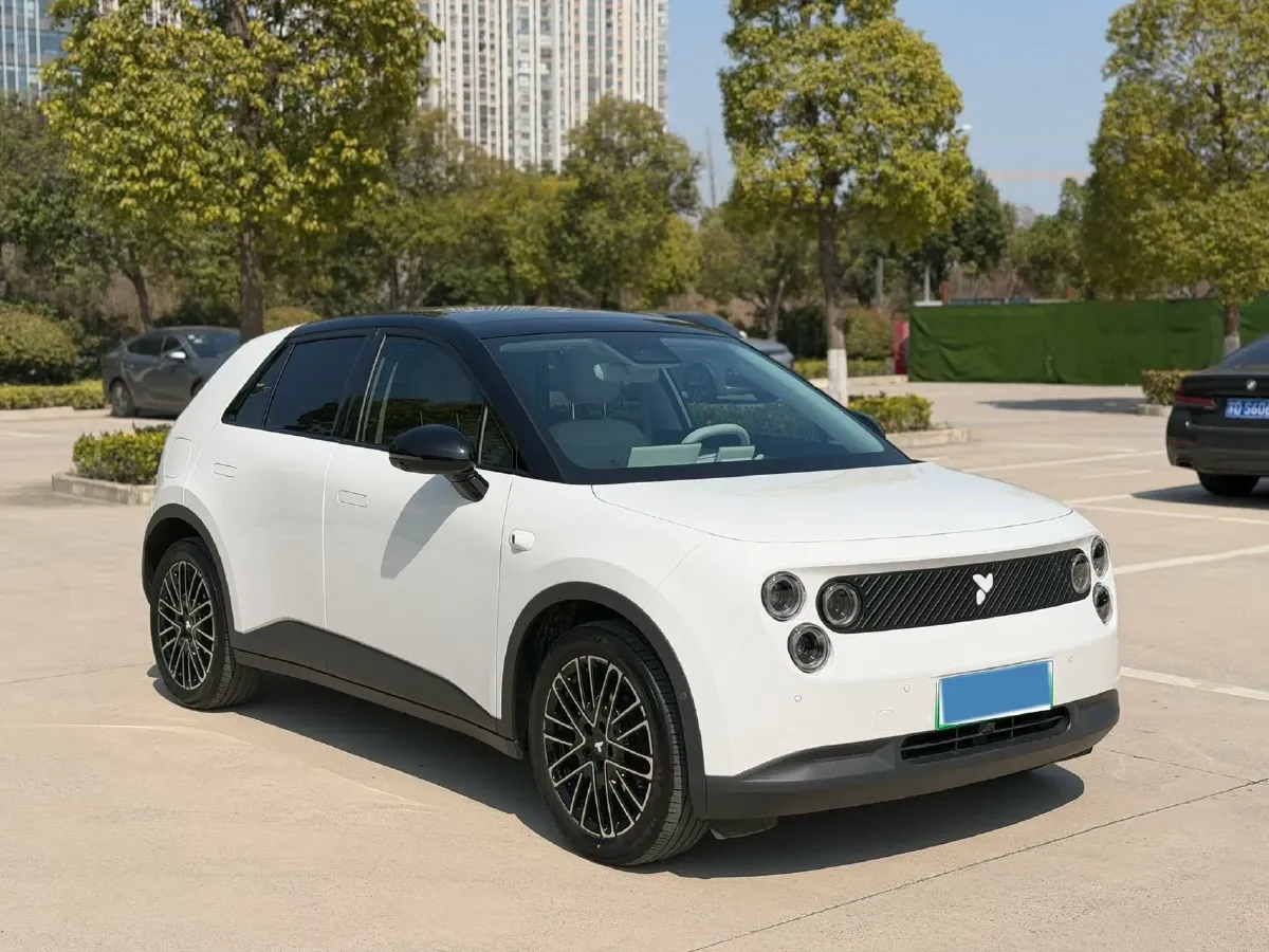 2025 Firefly Firefly BEV,autocango,china used car exporter,china ev exporter,chinese used car exporter,chinese used ev exporter