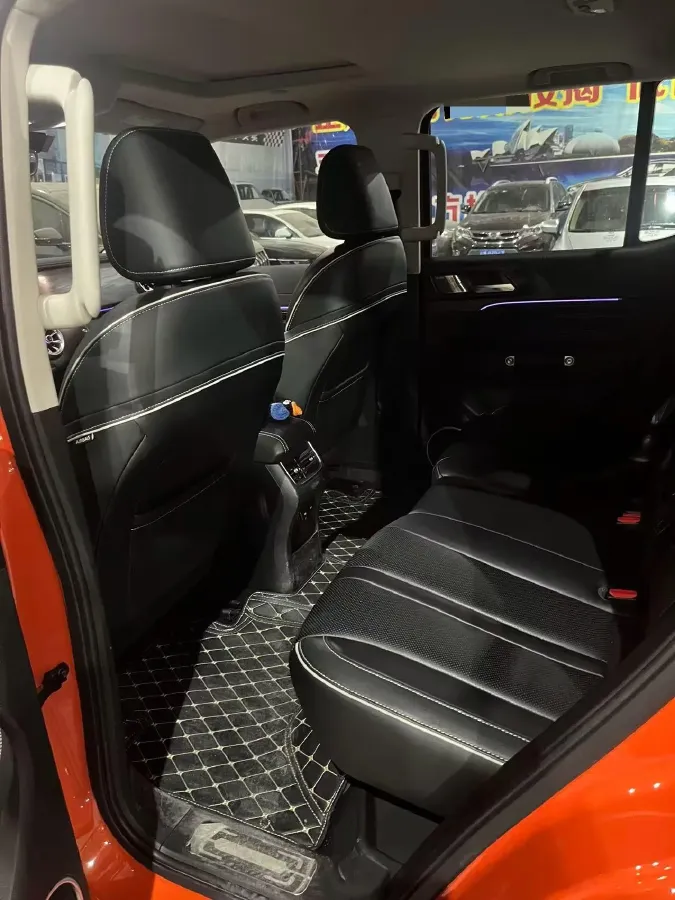 2023 Tank 300 2.0T 227HP L4 8AT,autocango,china used car exporter,china ev exporter,chinese used car exporter,chinese used ev exporter