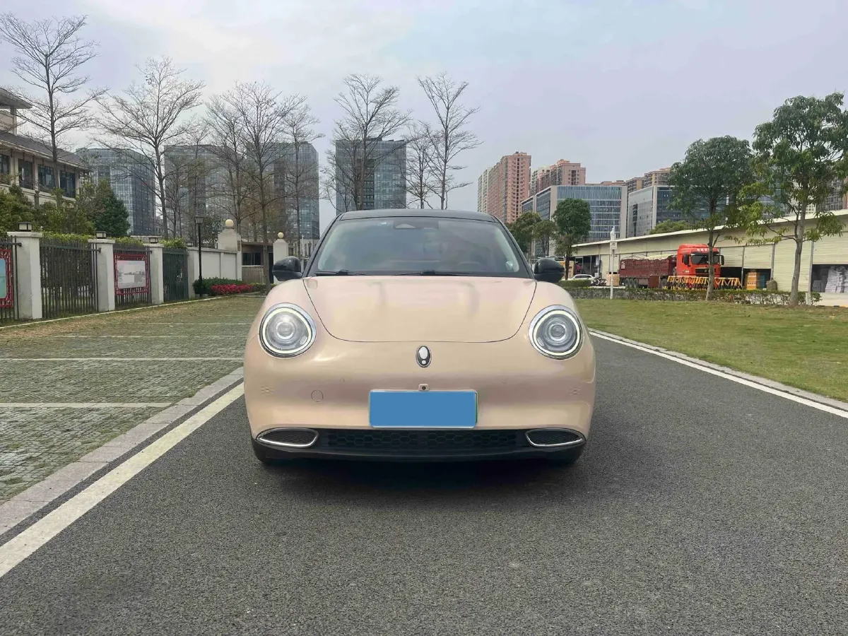 2021 Ora FunkyCat BEV 45.99KWH,autocango,china used car exporter,china ev exporter,chinese used car exporter,chinese used ev exporter