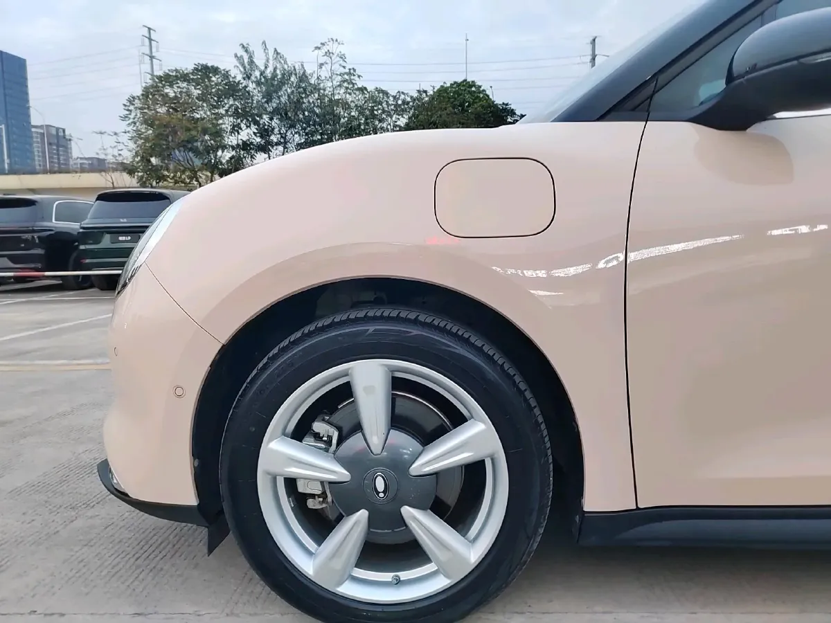 2021 Ora FunkyCat BEV 45.99KWH,autocango,china used car exporter,china ev exporter,chinese used car exporter,chinese used ev exporter