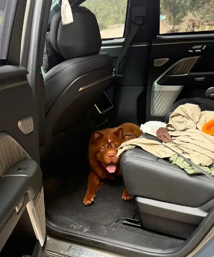 2025 ONVO L90 BEV,autocango,china used car exporter,china ev exporter,chinese used car exporter,chinese used ev exporter