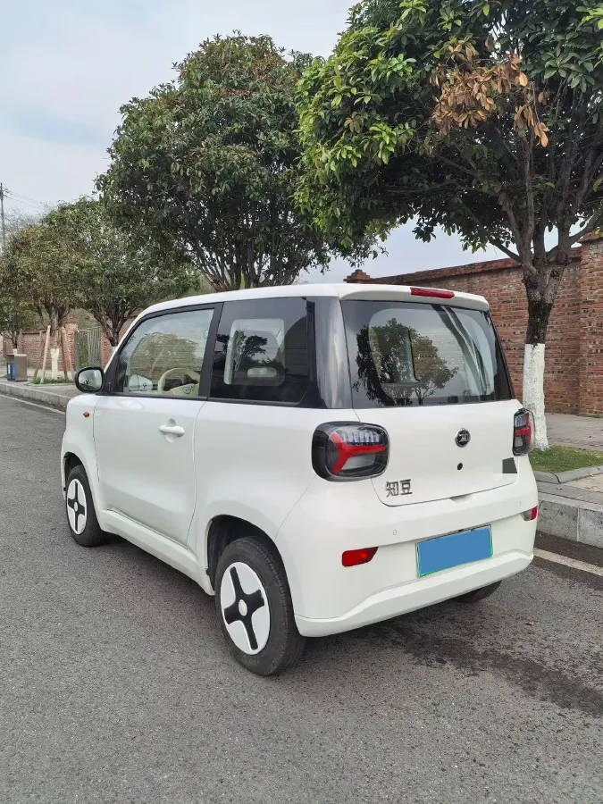 2024 ZD Rainbow BEV 17.3KWH,autocango,china used car exporter,china ev exporter,chinese used car exporter,chinese used ev exporter