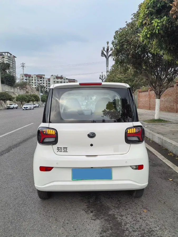 2024 ZD Rainbow BEV 17.3KWH,autocango,china used car exporter,china ev exporter,chinese used car exporter,chinese used ev exporter