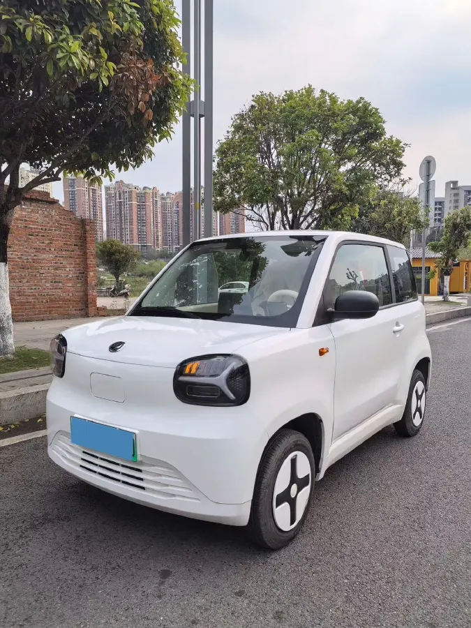 2024 ZD Rainbow BEV 17.3KWH,autocango,china used car exporter,china ev exporter,chinese used car exporter,chinese used ev exporter