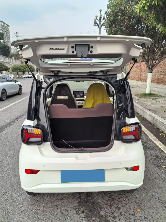 2024 ZD Rainbow BEV 17.3KWH,autocango,china used car exporter,china ev exporter,chinese used car exporter,chinese used ev exporter