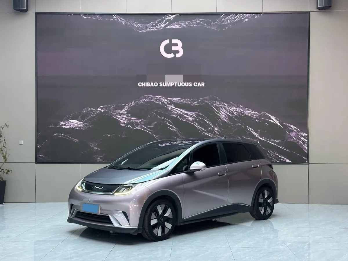 2021 BYD e2 BEV 43.2KWH,autocango,china used car exporter,china ev exporter,chinese used car exporter,chinese used ev exporter