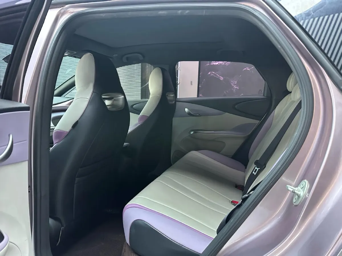 2021 BYD e2 BEV 43.2KWH,autocango,china used car exporter,china ev exporter,chinese used car exporter,chinese used ev exporter