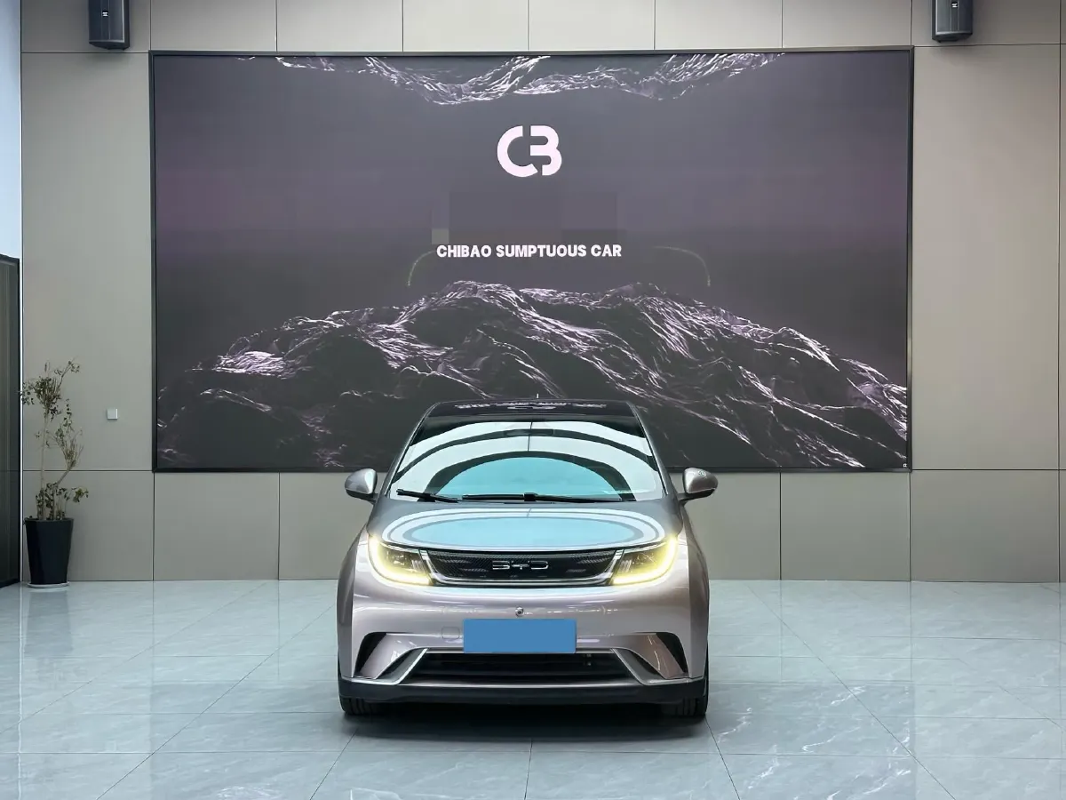 2021 BYD e2 BEV 43.2KWH,autocango,china used car exporter,china ev exporter,chinese used car exporter,chinese used ev exporter