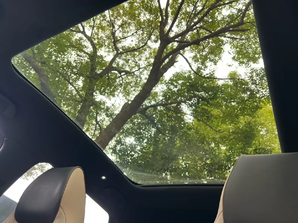 2023 BYD Dolphin BEV 44.928KWH,autocango,china used car exporter,china ev exporter,chinese used car exporter,chinese used ev exporter