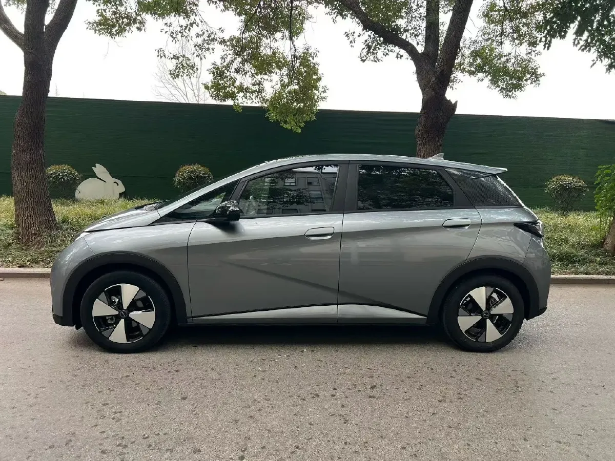 2023 BYD Dolphin BEV 44.928KWH,autocango,china used car exporter,china ev exporter,chinese used car exporter,chinese used ev exporter