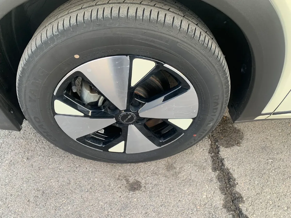 2021 BYD Yuan Pro BEV 50.1KWH,autocango,china used car exporter,china ev exporter,chinese used car exporter,chinese used ev exporter