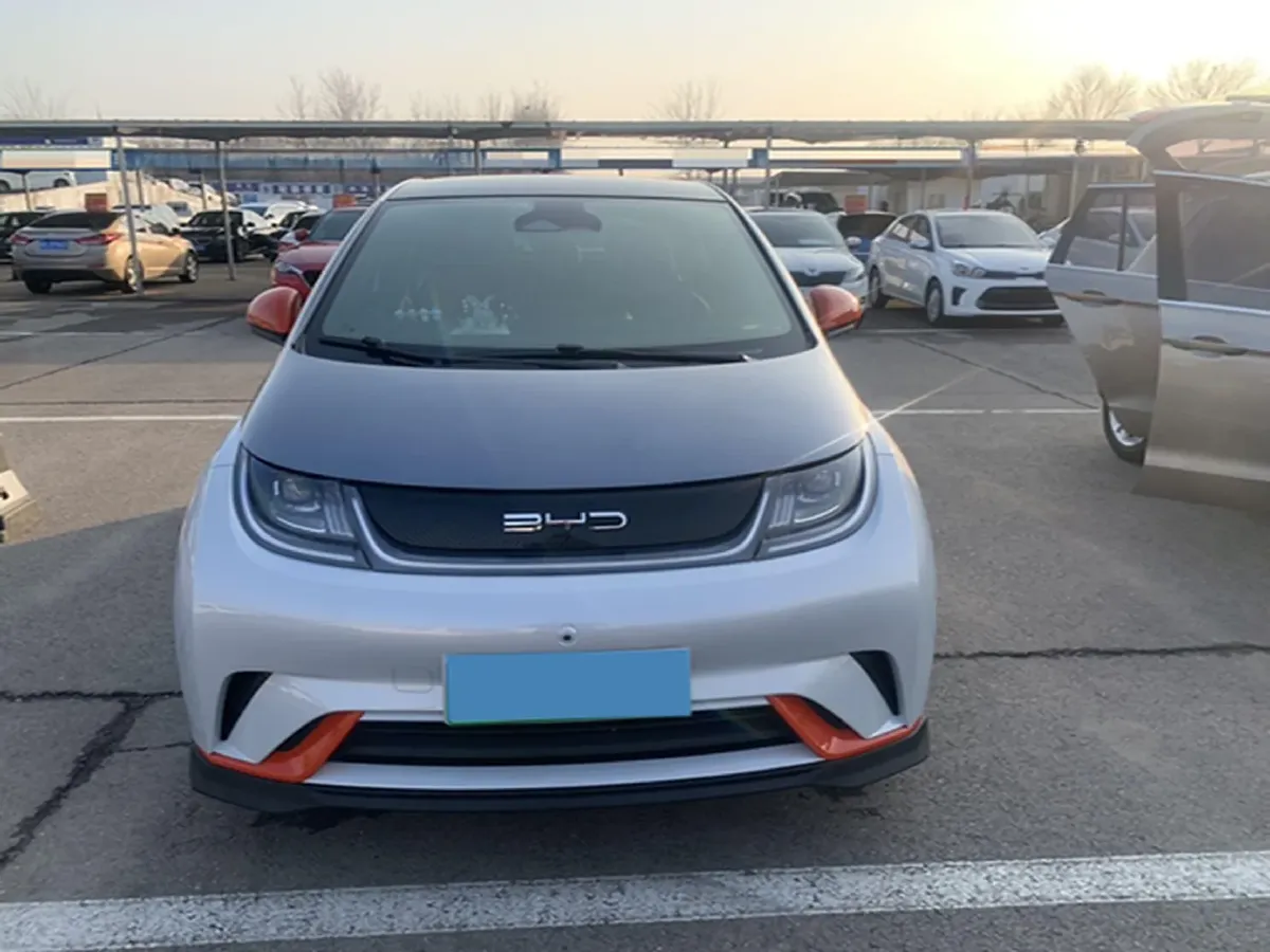 2021 BYD e2 BEV 43.2KWH,autocango,china used car exporter,china ev exporter,chinese used car exporter,chinese used ev exporter