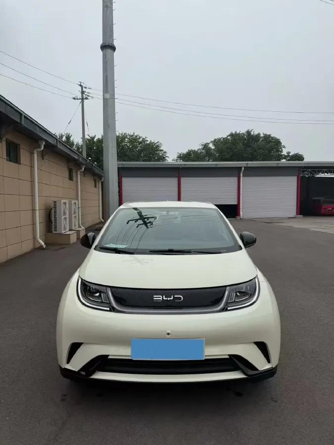 2025 BYD Dolphin BEV 44.928KWH,autocango,china used car exporter,china ev exporter,chinese used car exporter,chinese used ev exporter