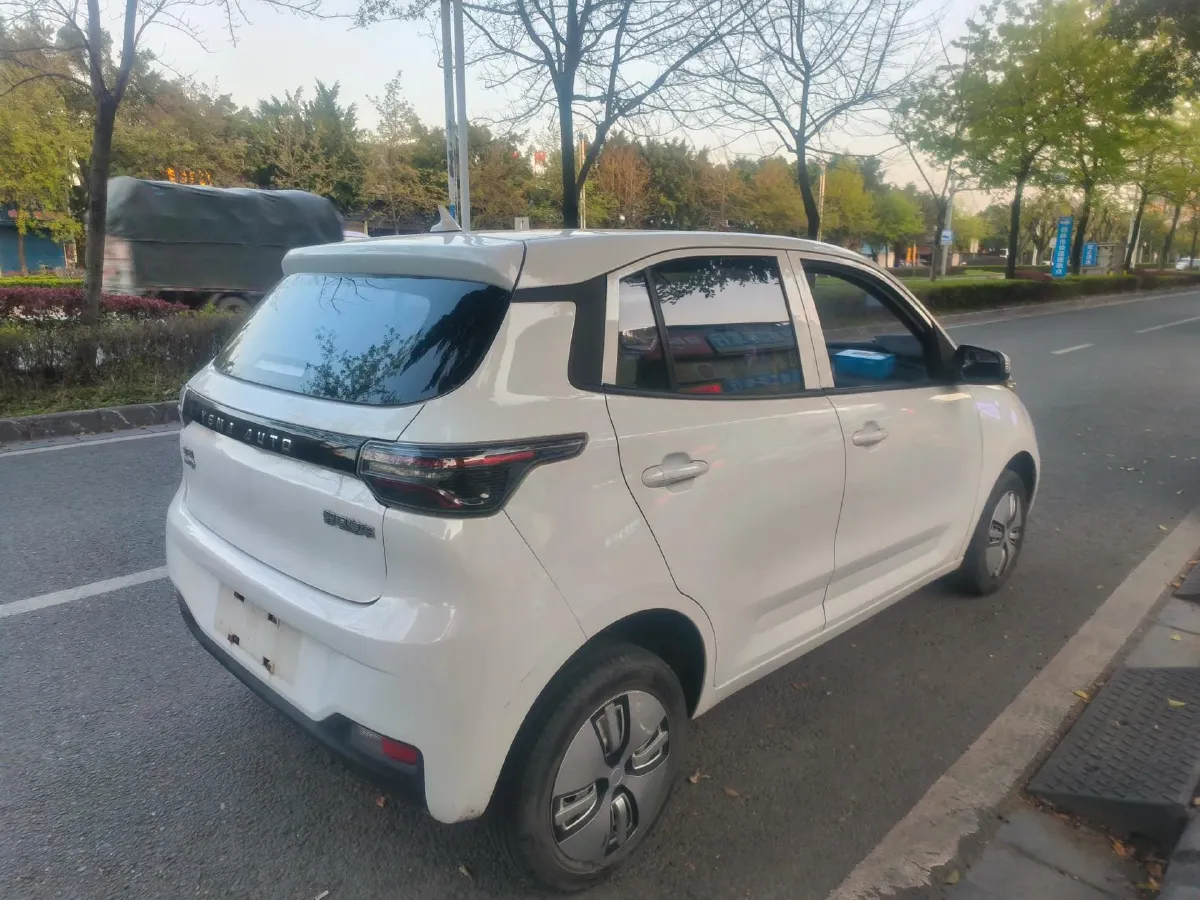 2021 Levdeo Mango BEV 29.44KWH,autocango,china used car exporter,china ev exporter,chinese used car exporter,chinese used ev exporter