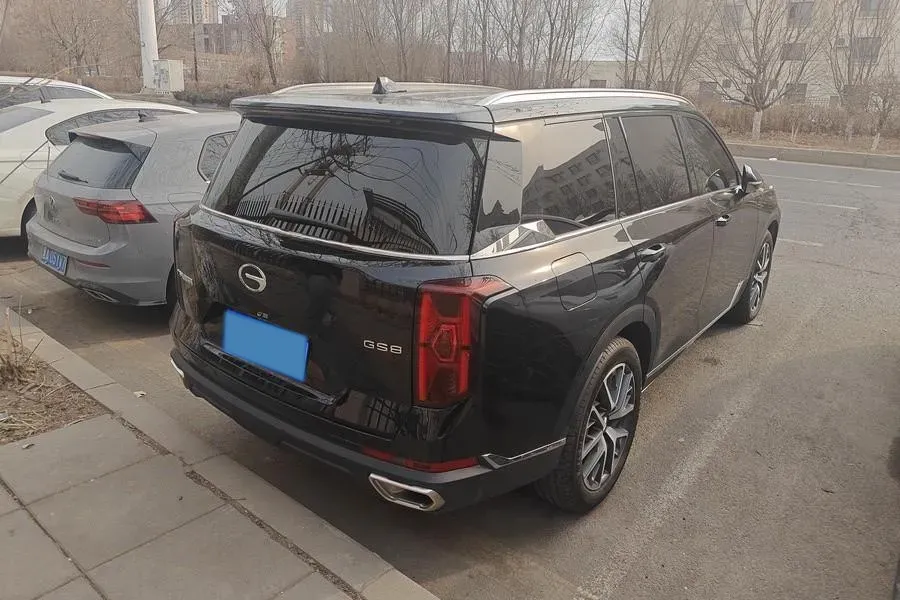 2025 GAC Trumpchi GS8 2.0T 252HP L4 8AT,autocango,china used car exporter,china ev exporter,chinese used car exporter,chinese used ev exporter
