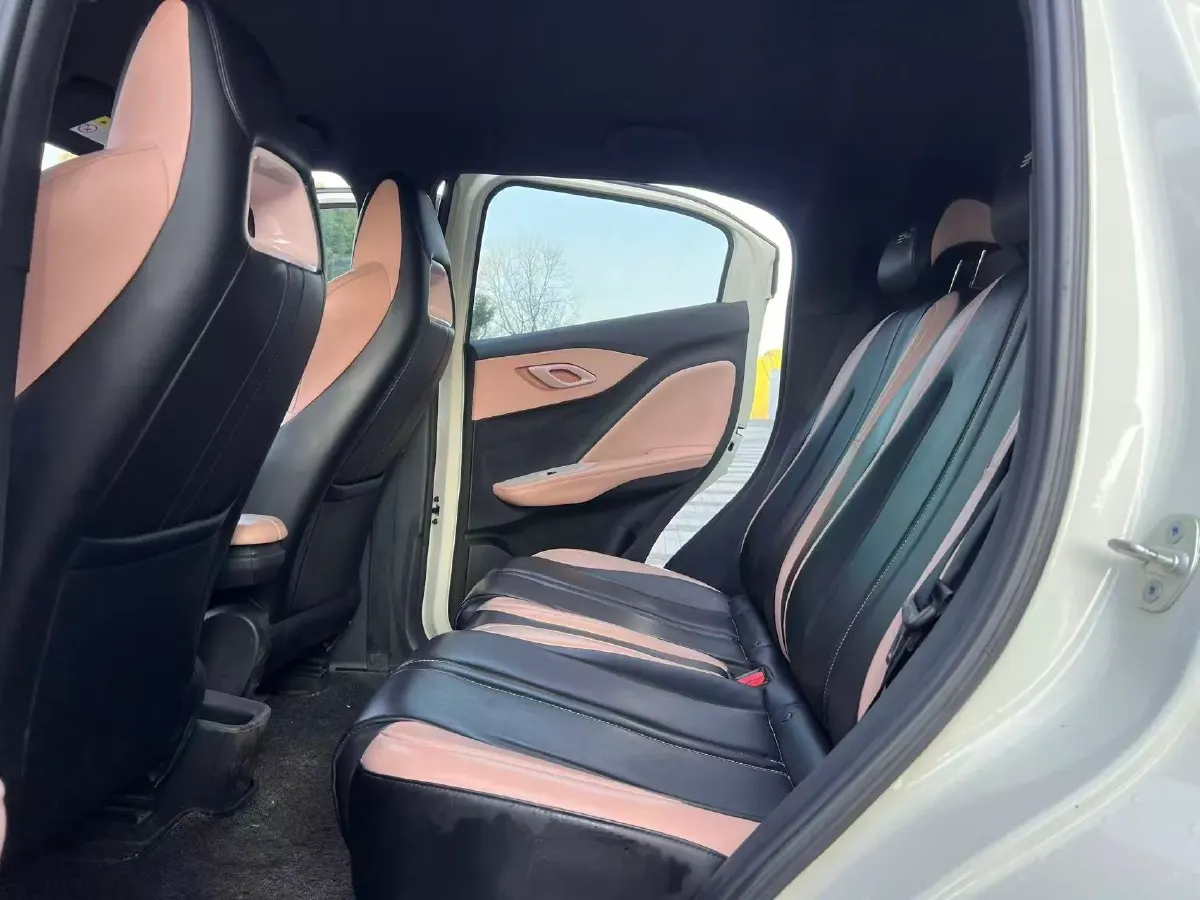 2023 BYD Seagull BEV 30.08KWH,autocango,china used car exporter,china ev exporter,chinese used car exporter,chinese used ev exporter