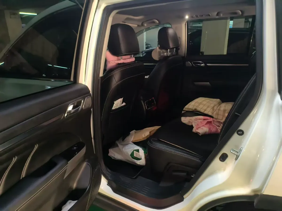 2020 GAC Trumpchi GS8 2.0T 252HP L4 6AT,autocango,china used car exporter,china ev exporter,chinese used car exporter,chinese used ev exporter