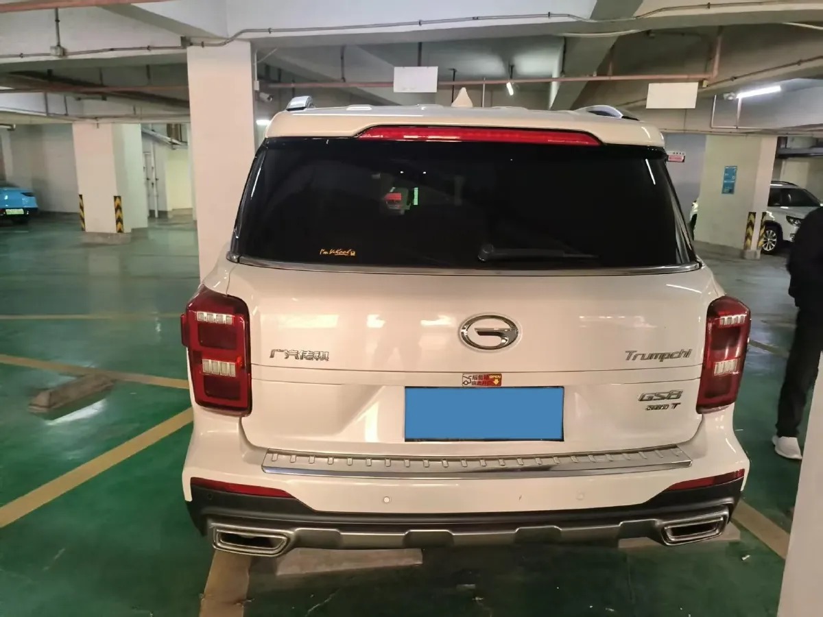 2020 GAC Trumpchi GS8 2.0T 252HP L4 6AT,autocango,china used car exporter,china ev exporter,chinese used car exporter,chinese used ev exporter