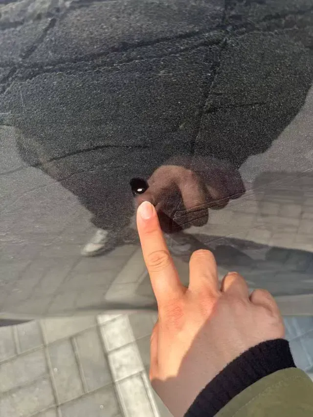 2024 Exceed TXL 1.6T 201HP L4 7DCT,autocango,china used car exporter,china ev exporter,chinese used car exporter,chinese used ev exporter