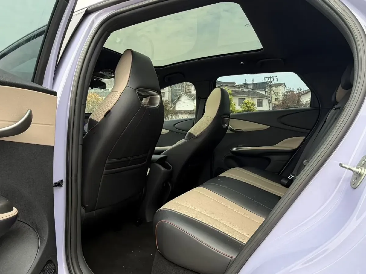 2023 BYD Dolphin BEV 44.928KWH,autocango,china used car exporter,china ev exporter,chinese used car exporter,chinese used ev exporter