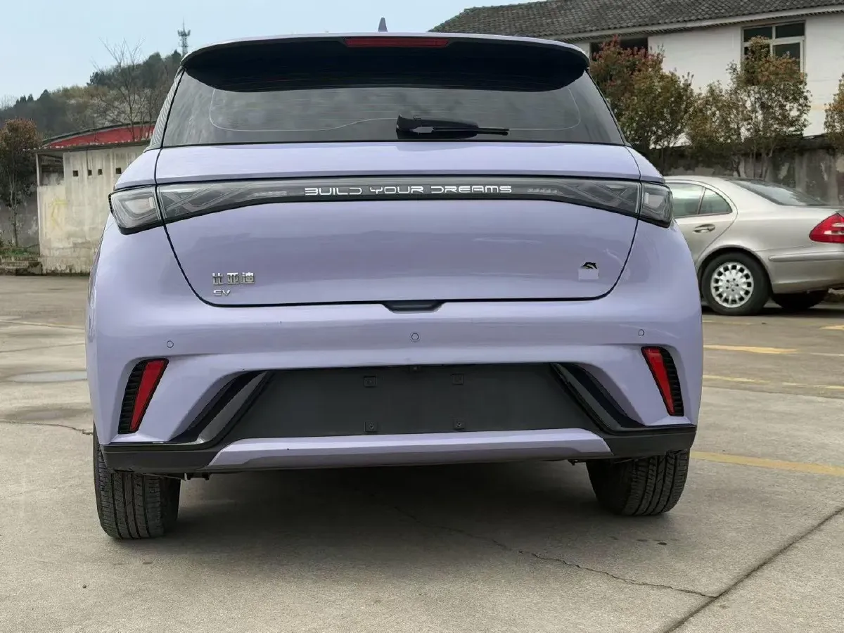 2023 BYD Dolphin BEV 44.928KWH,autocango,china used car exporter,china ev exporter,chinese used car exporter,chinese used ev exporter