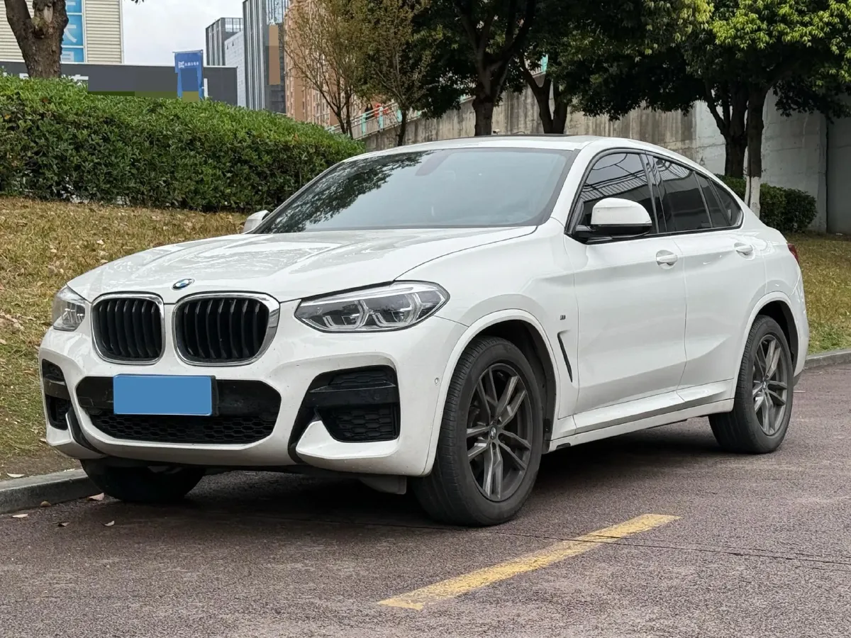 2020 BMW X4 2.0T 184HP L4 8AT,autocango,china used car exporter,china ev exporter,chinese used car exporter,chinese used ev exporter