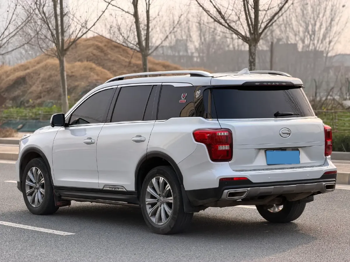 2021 GAC Trumpchi GS8 2.0T 252HP L4 6AT,autocango,china used car exporter,china ev exporter,chinese used car exporter,chinese used ev exporter
