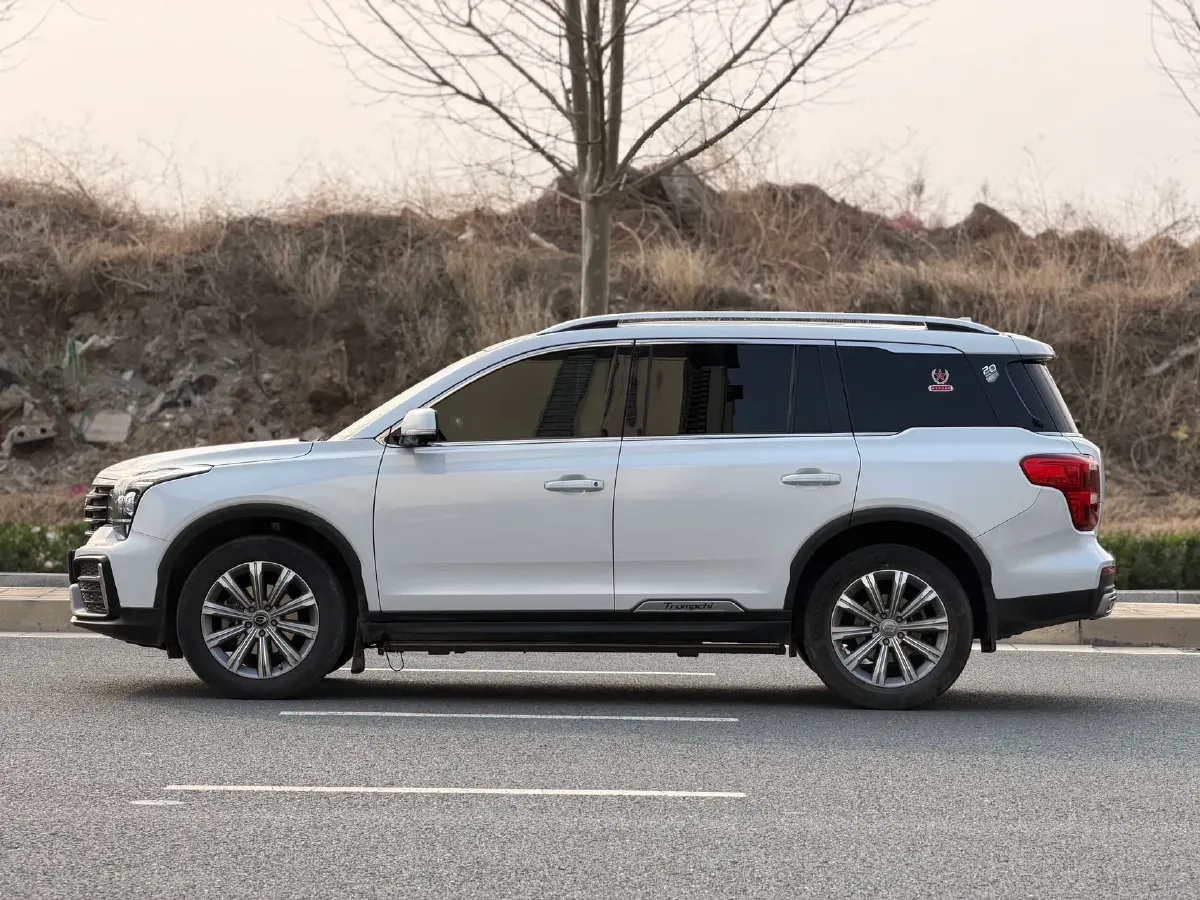 2021 GAC Trumpchi GS8 2.0T 252HP L4 6AT,autocango,china used car exporter,china ev exporter,chinese used car exporter,chinese used ev exporter