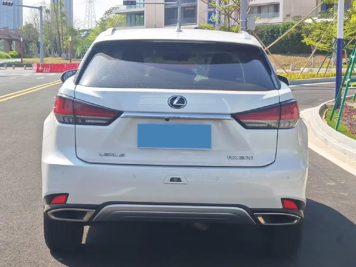 2020 Lexus RX 2.0T 238HP L4 6AT,autocango,china used car exporter,china ev exporter,chinese used car exporter,chinese used ev exporter