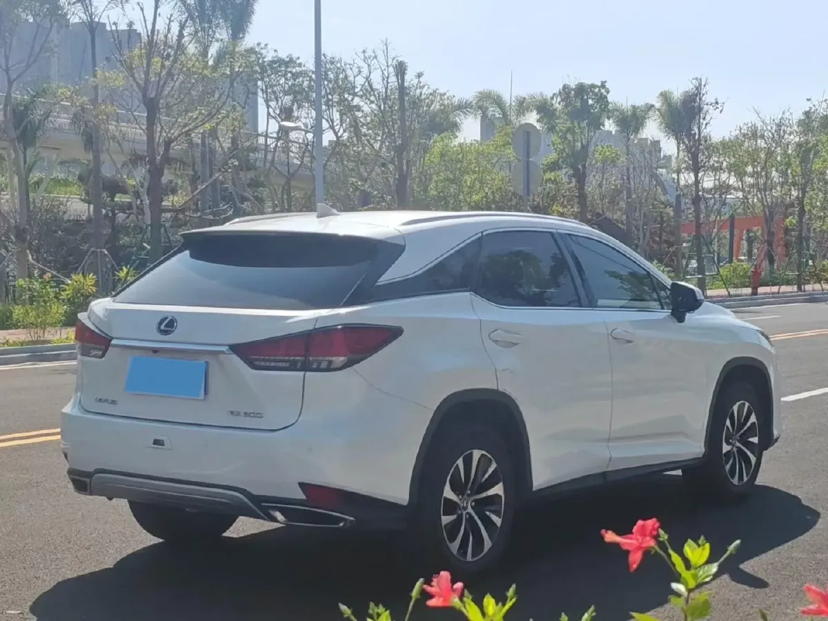 2020 Lexus RX 2.0T 238HP L4 6AT,autocango,china used car exporter,china ev exporter,chinese used car exporter,chinese used ev exporter