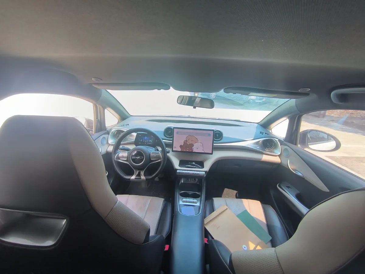 2023 BYD Dolphin BEV 44.928KWH,autocango,china used car exporter,china ev exporter,chinese used car exporter,chinese used ev exporter