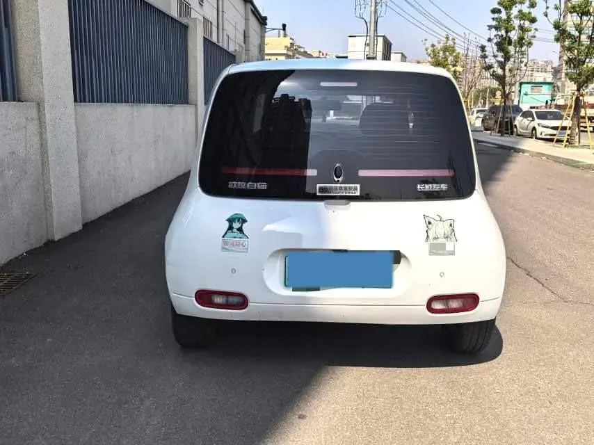 2020 Ora WhiteCat BEV 29.4KWH,autocango,china used car exporter,china ev exporter,chinese used car exporter,chinese used ev exporter