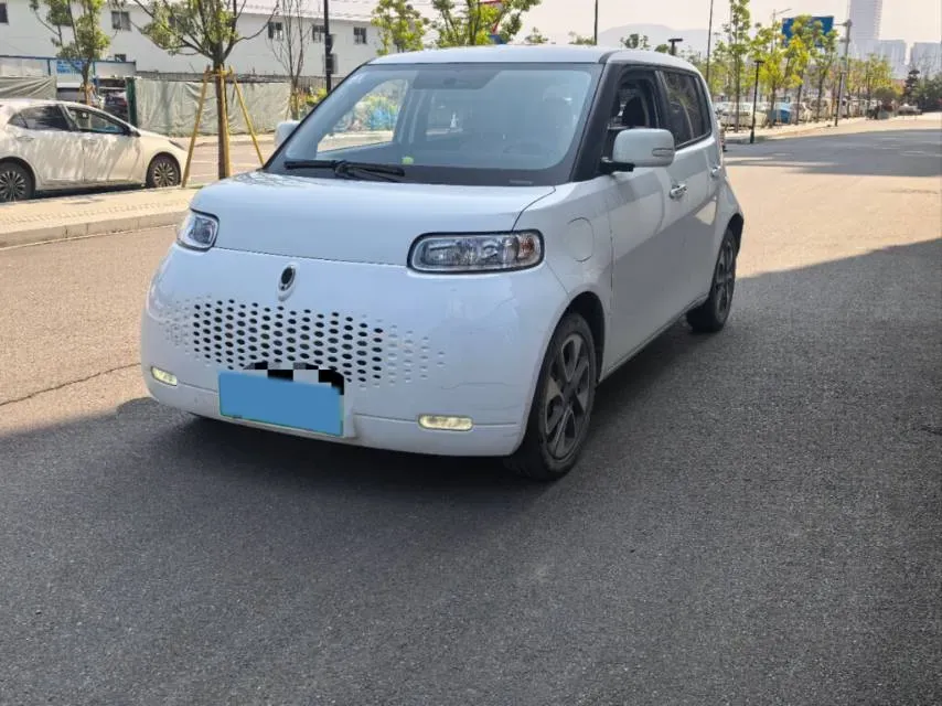 2020 Ora WhiteCat BEV 29.4KWH,autocango,china used car exporter,china ev exporter,chinese used car exporter,chinese used ev exporter