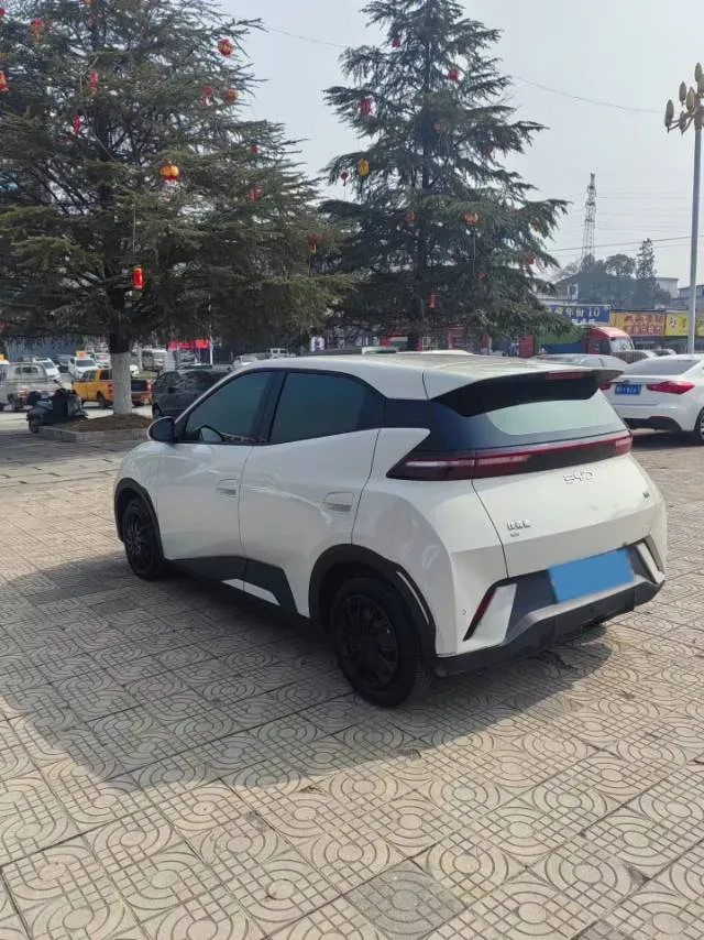 2025 BYD Seagull BEV 30.08KWH,autocango,china used car exporter,china ev exporter,chinese used car exporter,chinese used ev exporter