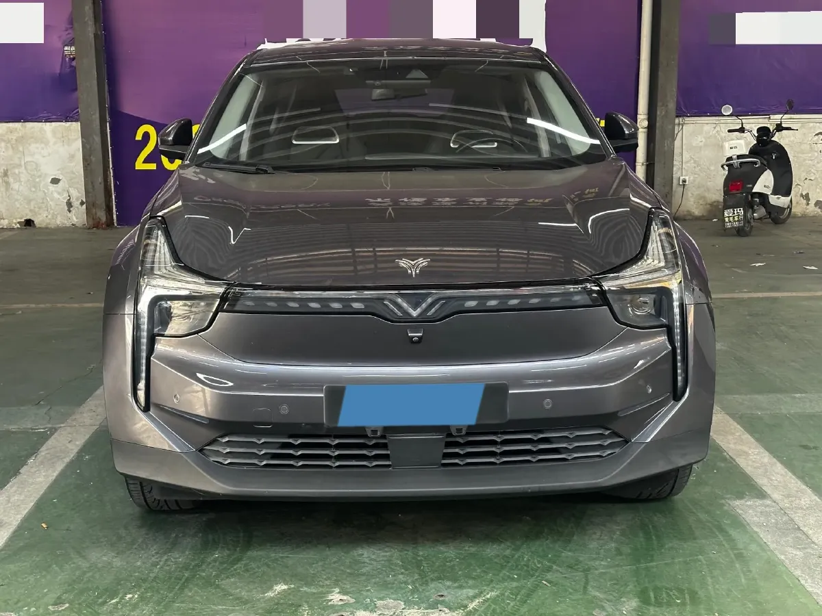 2021 DongFeng FuKang e Elysee BEV 38.4KWH,autocango,china used car exporter,china ev exporter,chinese used car exporter,chinese used ev exporter