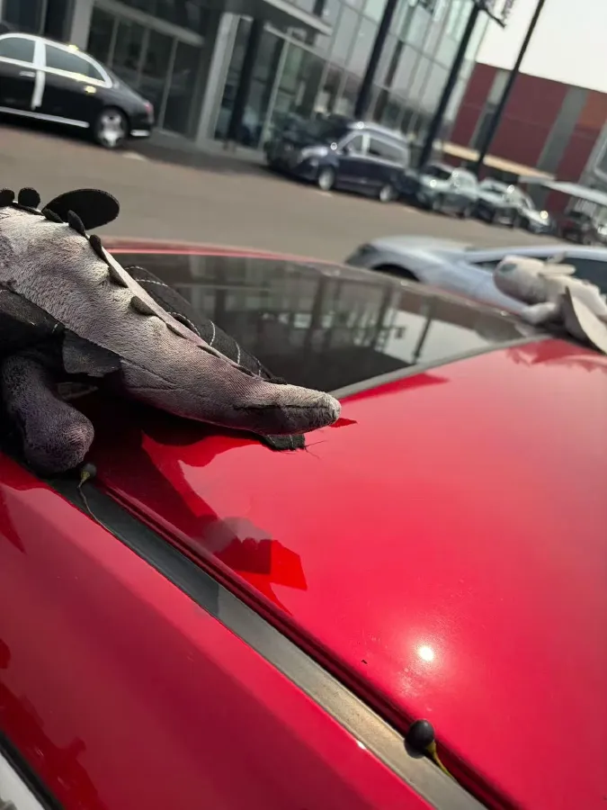 2021 Mazda 3 Axela 2.0L 158HP L4 6AT,autocango,china used car exporter,china ev exporter,chinese used car exporter,chinese used ev exporter