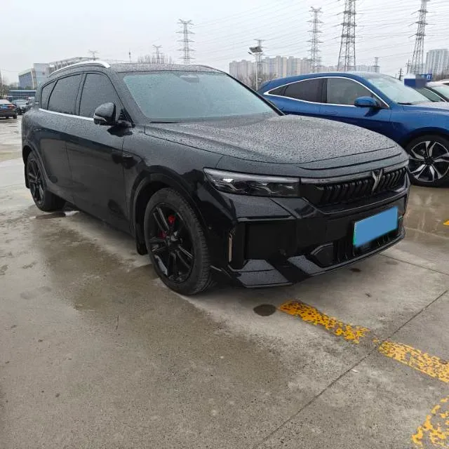 2024 Voyah FREE 1.5T 150HP L4 REEV 39.2KWH,autocango,china used car exporter,china ev exporter,chinese used car exporter,chinese used ev exporter