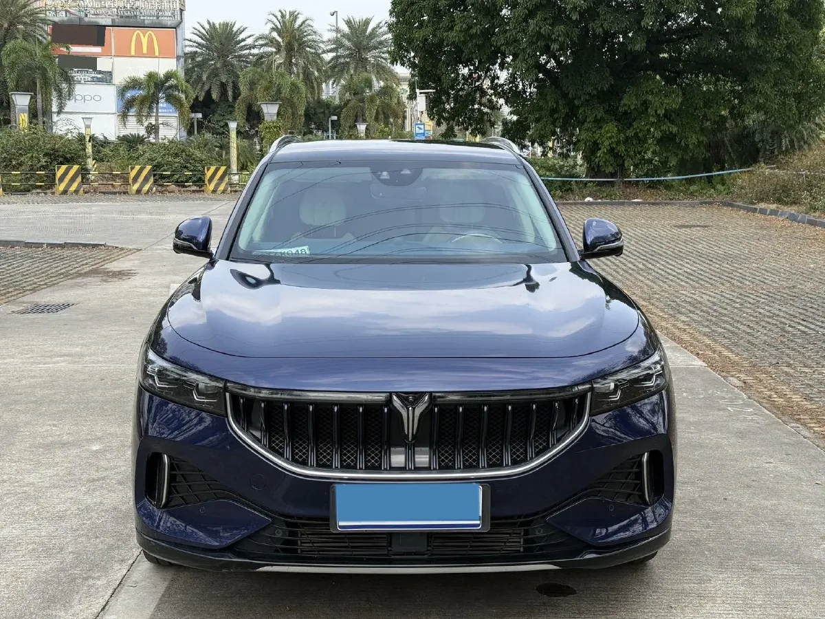 2021 Voyah FREE Range Extended 109HP REEV 33KWH,autocango,china used car exporter,china ev exporter,chinese used car exporter,chinese used ev exporter